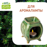 Хвойный лес, отдушка для свечей и мыла