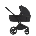 Коляска 2 в 1 ANEX Flo #1