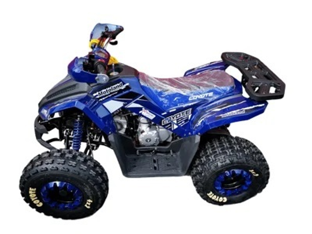Квадроцикл MOTOLAND 125 COYOTE PRO