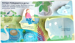 40 окошек. Откуда берутся дети