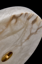 Потолочная люстра Fluorite Luar FL1110-5C