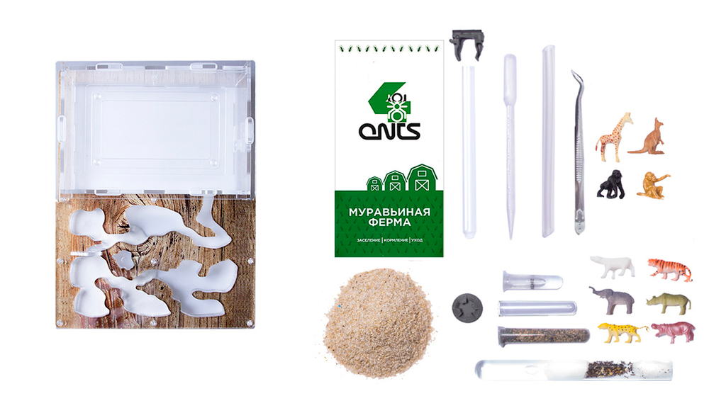 Комплект Муравьиная ферма Antrum L с муравьями