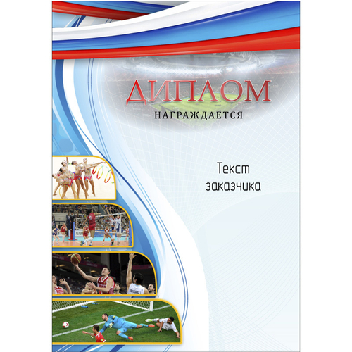 PNDiploma-501 с текстом