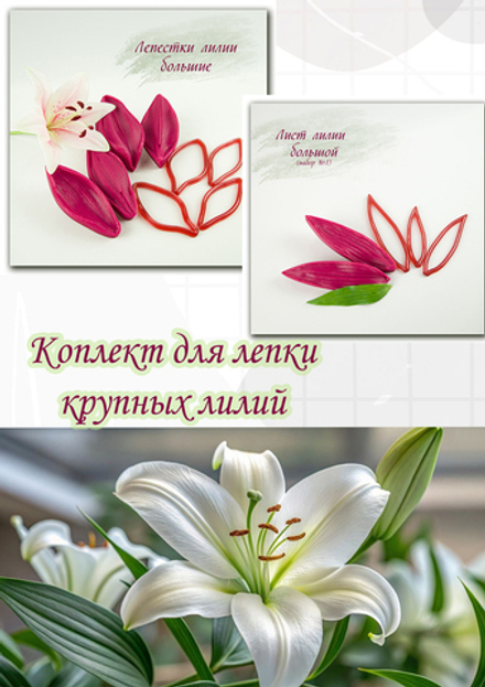Комплект для лепки крупных и средних лилий