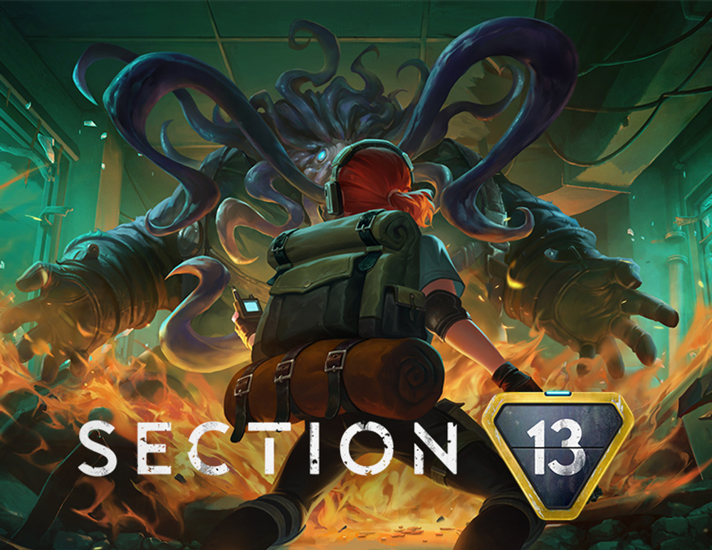 Section 13 (для ПК, цифровой код доступа)
