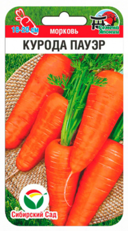 Морковь Курода Пауэр СибСад
