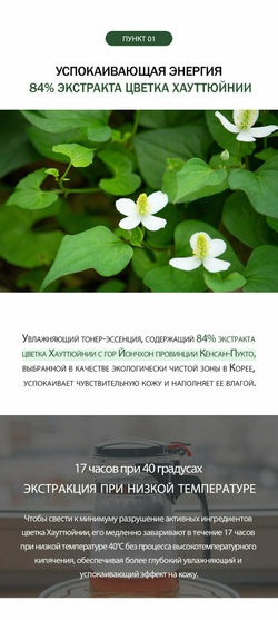 Увлажняющий тонер DERMA FACTORY для лица с экстрактом хауттюйнии, 300 мл.