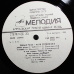 Катя Суржикова / Дикая Роза (LP)