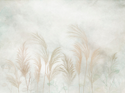 Коллекция AIR