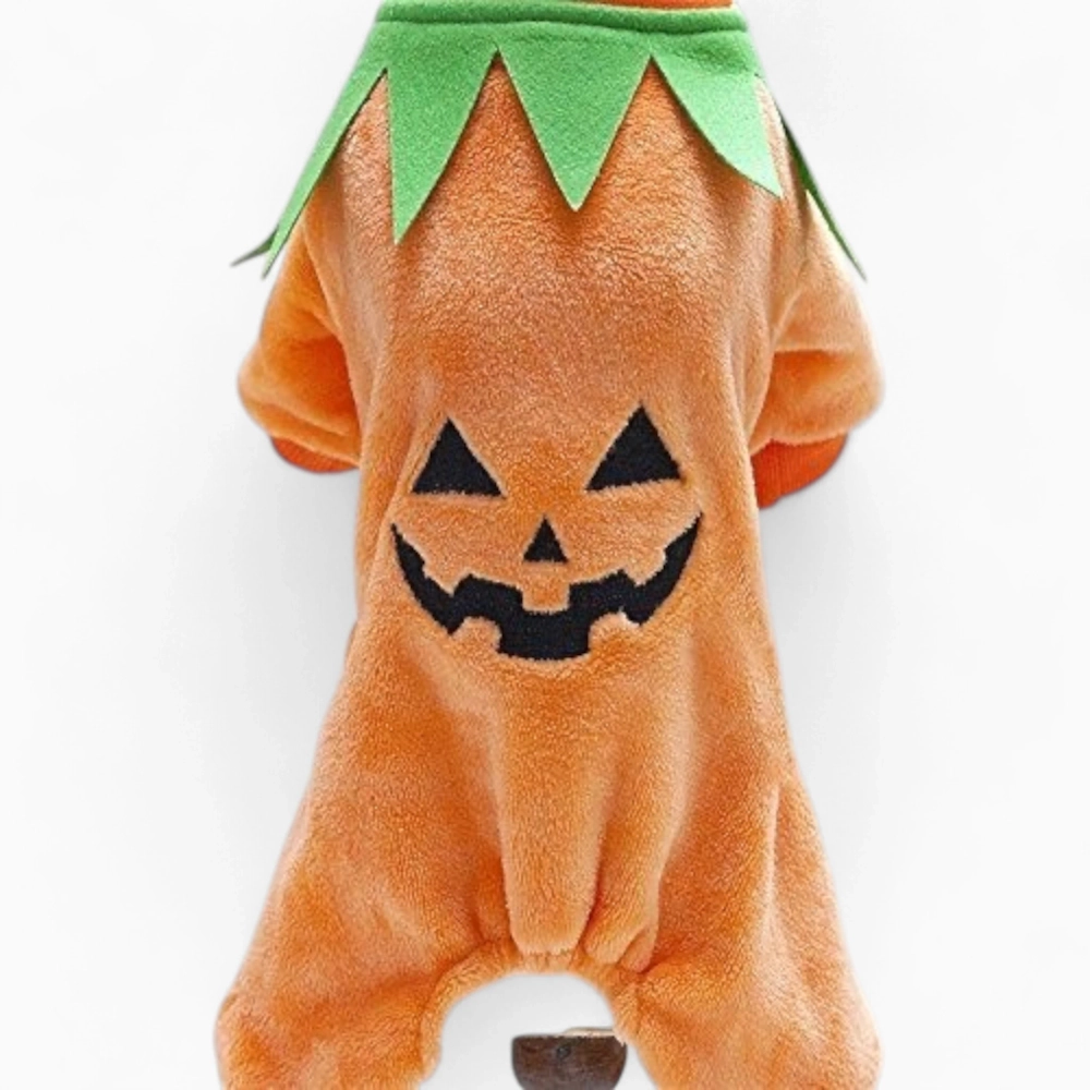 Комбинезон «Тыква»