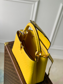Louis Vuitton Capucines MM