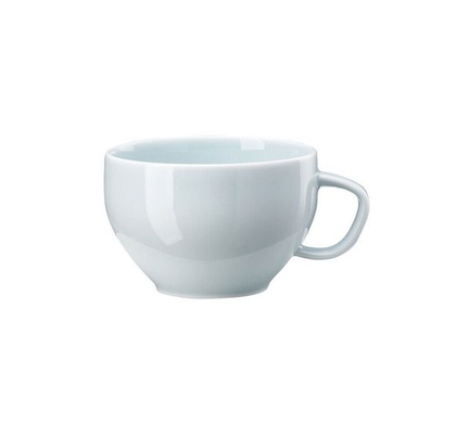 Чайная чашка с блюдцем Rosenthal Junto Opal Green (240 мл)