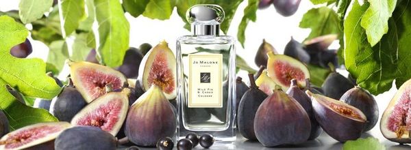 Jo Malone London Wild Fig and Cassis