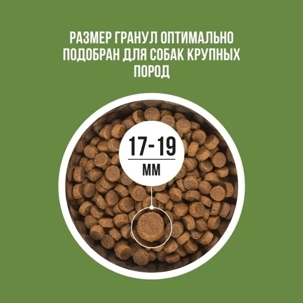 Сухой корм Bowl Wow для собак крупных пород, с ягненком, индейкой, рисом и цукини - 2 кг