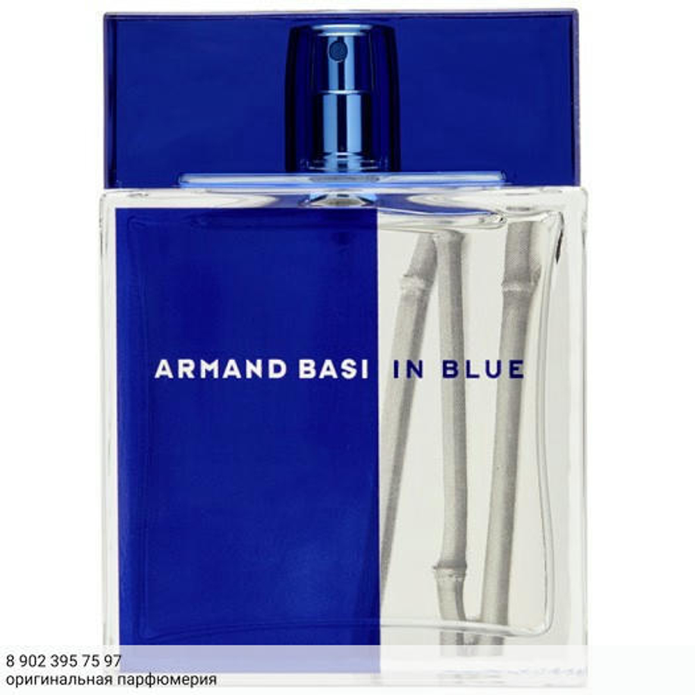 Armand Basi In Blue