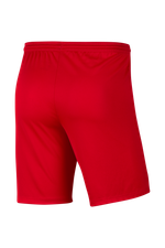 Шорты Nike Dry Park III