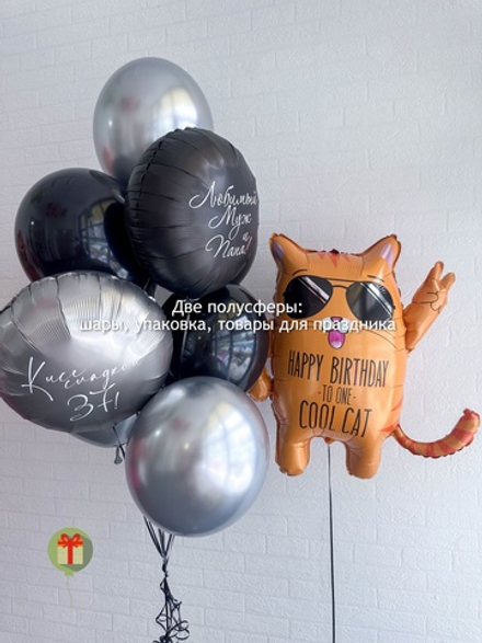 Набор шаров Супер Кот