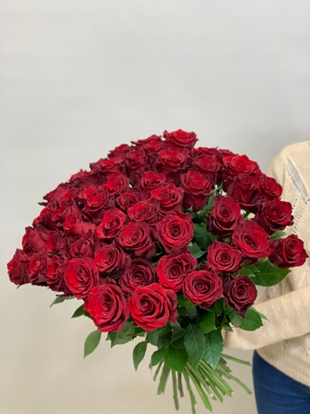 Букет 50 красных роз Эквадор 60см в ленте