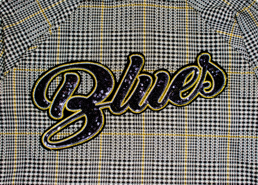 толстовка худи теплая  Блюз 1344