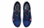 Кроссовки Nike Zoom Winflo 7