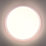 7776/DLN PALE SN 110 Светильник пластик/белый LED 48Вт 3000/4000/6000К D400 IP43 CCT JOLLY