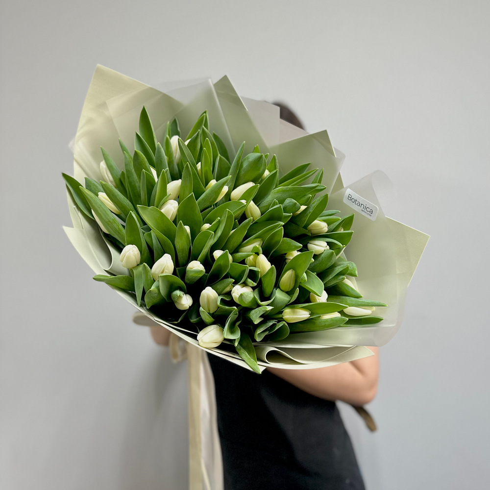 Букет из 51 хрустящего белого тюльпана  1084