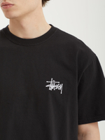 Мужская Футболка Basic Stussy Pig. Dyed