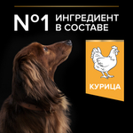 Сухой корм PRO PLAN EVERYDAY NUTRITION для взрослых собак мелких и карликовых пород курица 7 кг