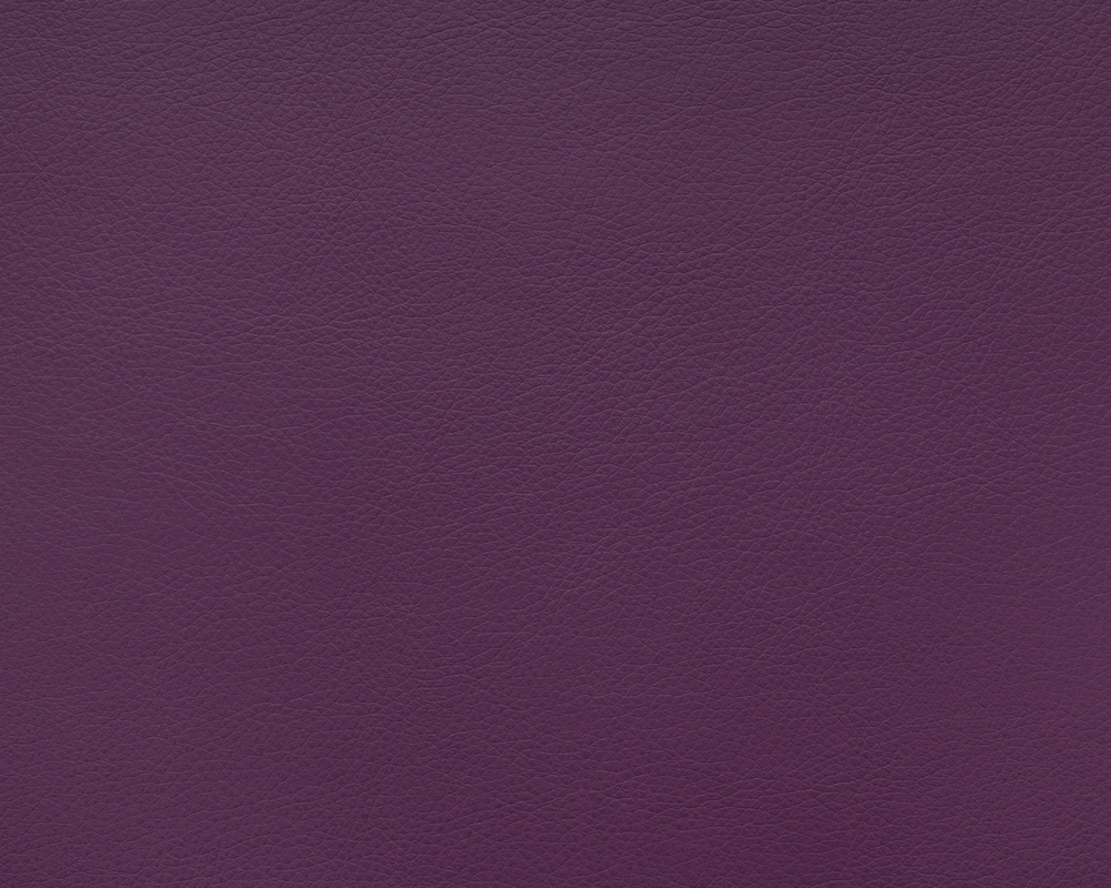 Кухонный уголок со спальным местом Каприччио 022 кожзам purple дерево