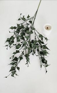 Зеленый/коричневый/тёмный