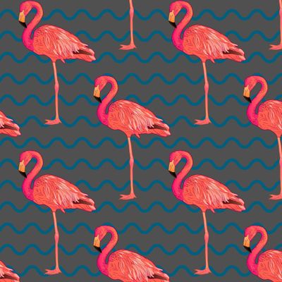 Коралловый фламинго