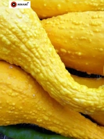 Кабачок цукини Золотой гребешок Rugosa Fri