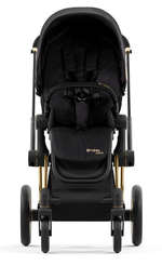 Коляска 2 в 1 Cybex Priam IV 2 в 1 Jeremy Scott Wings