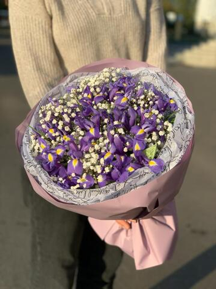 Букет цветов Ирисы с гипсофилой в пленке