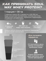 Протеин сывороточный Soul Way, кокосовый / 900 гр 30 порций