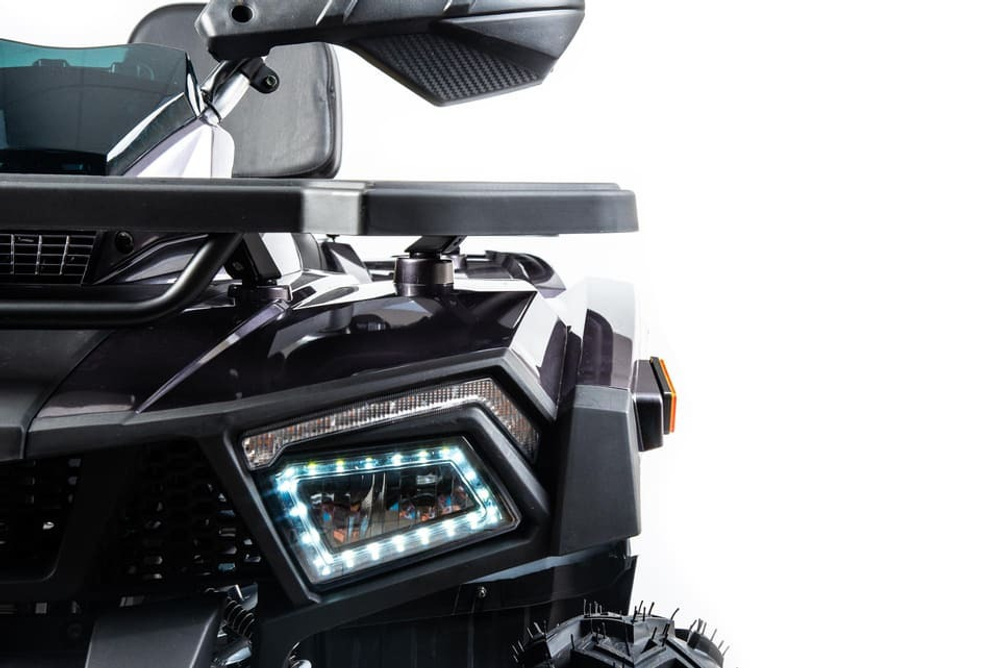 Квадроцикл MOTOLAND 200 Wild Track X Pro (2022)