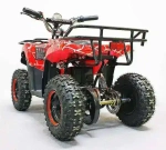 Электроквадроцикл Green Camel Гоби K40 (36V 800W R6 Цепь) быстросъем