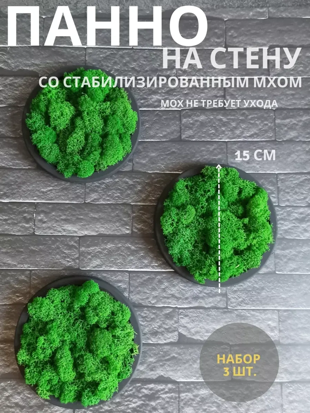 Панно из мха набор 3 шт.