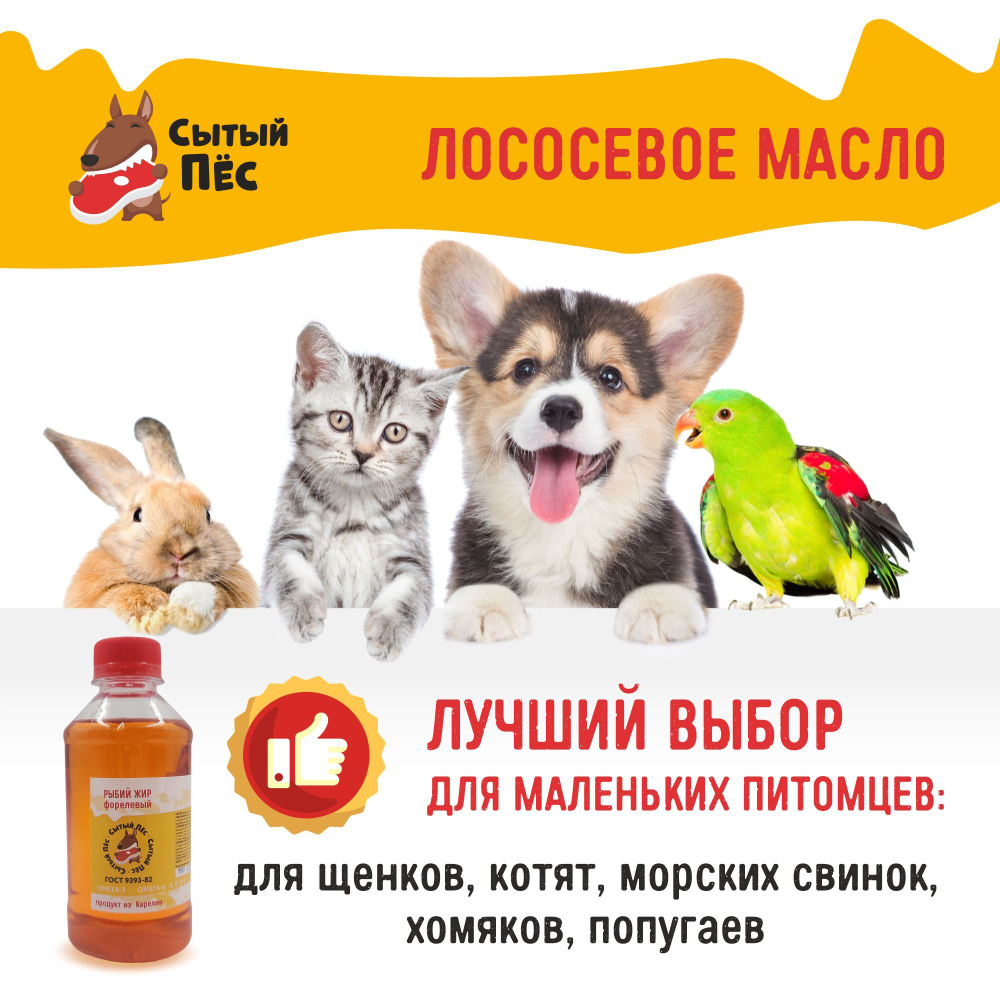 Ветеринарный рыбий жир лососевый 100 мл "Сытый пёс" - для животных, для собак, кошек, кур несушек, коров - 100% лососевое масло