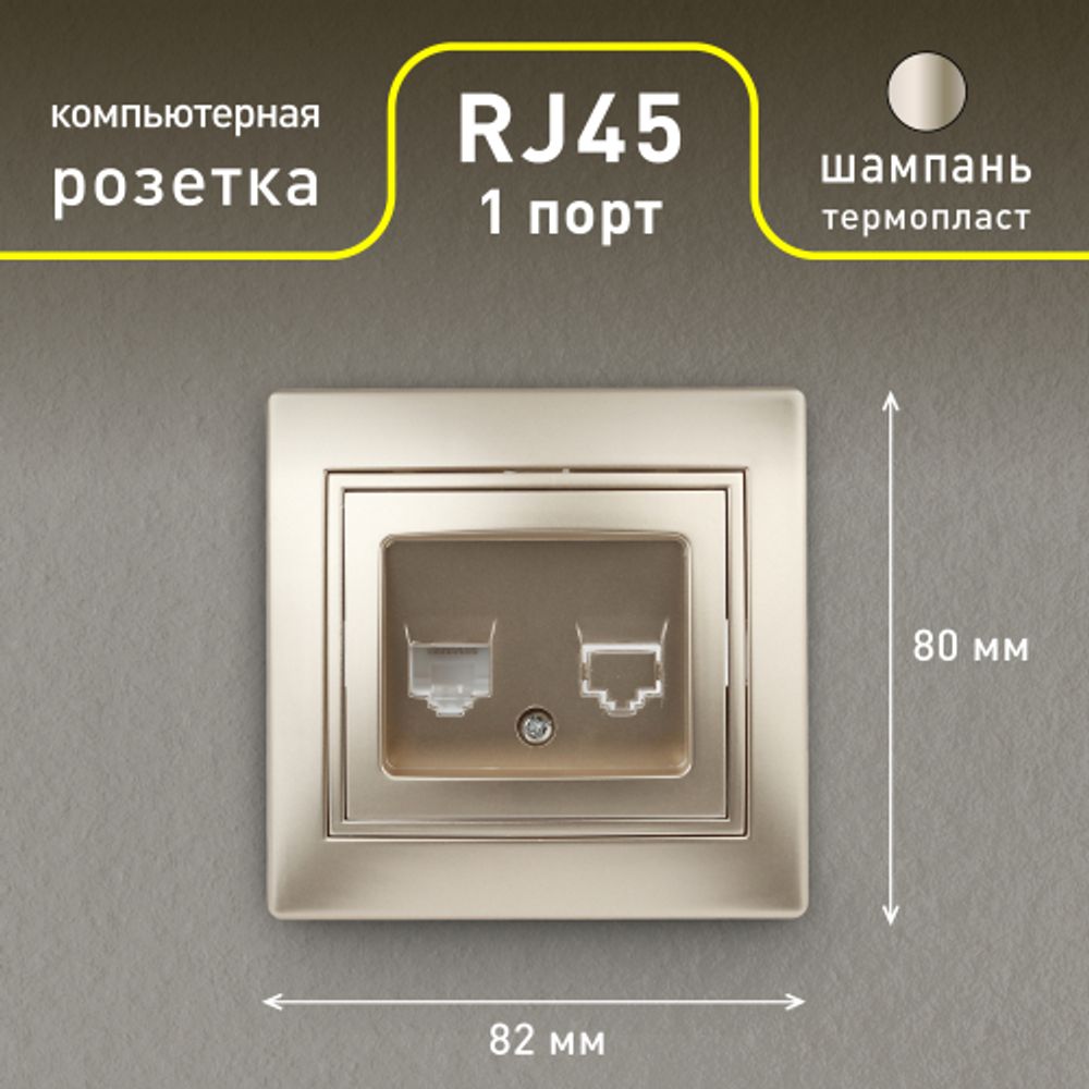 Розетка Intro Plano 1-303-04 информационная RJ45, IP20, СУ, шампань