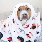 Покрывало для собак BullyBillows