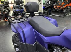 Квадроцикл IRIDE WOLF 300