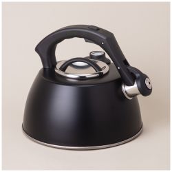 ЧАЙНИК AGNESS СО СВИСТКОМ, СЕРИЯ ТЮДОР, 2,8Л ТЕРМОАККУМУЛИРУЮЩЕЕ ДНО,ИНДУКЦИЯ,ВСТРОЕННЫЙ ТЕРМОМЕТР