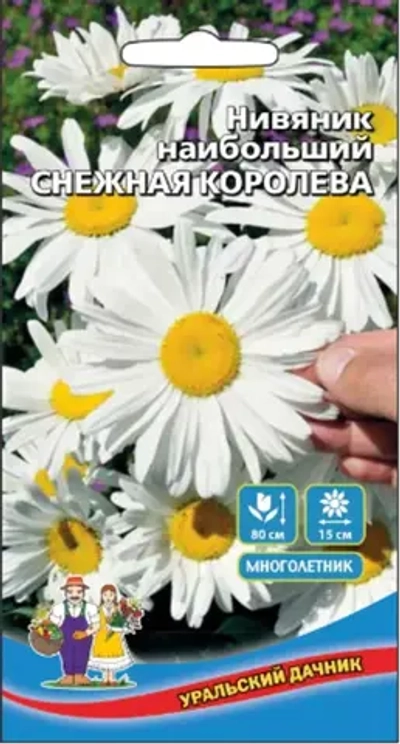 Семена Нивяник наибольший Снежная королева 0,15гр (УД) Е/П