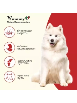 Корм для взрослых собак средних пород, ягненок 1,5 кг