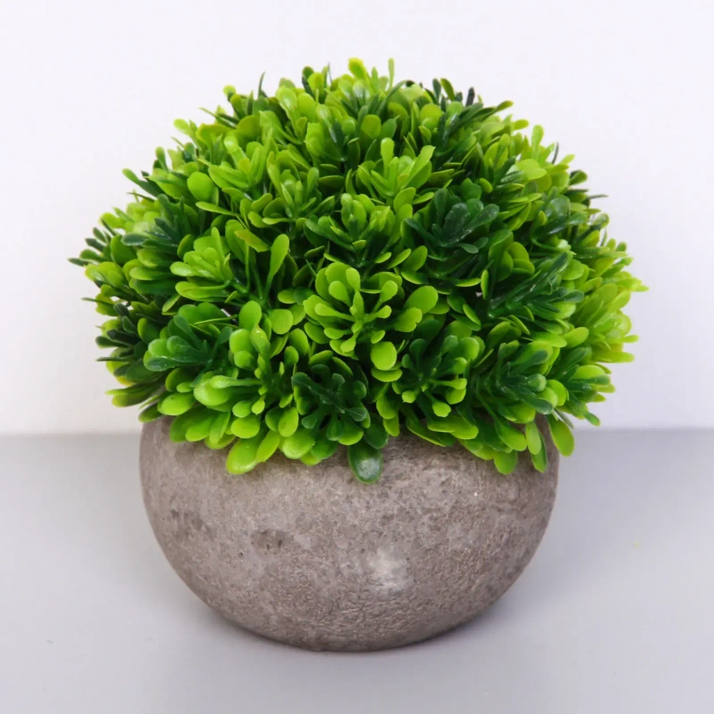 Цветочная композиция «Green garden» 10*12см в горшке, листики