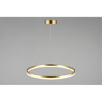 Подвесная светодиодная люстра Aployt Armel APL.049.13.40