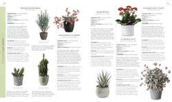 RHS Practical House Plant Book