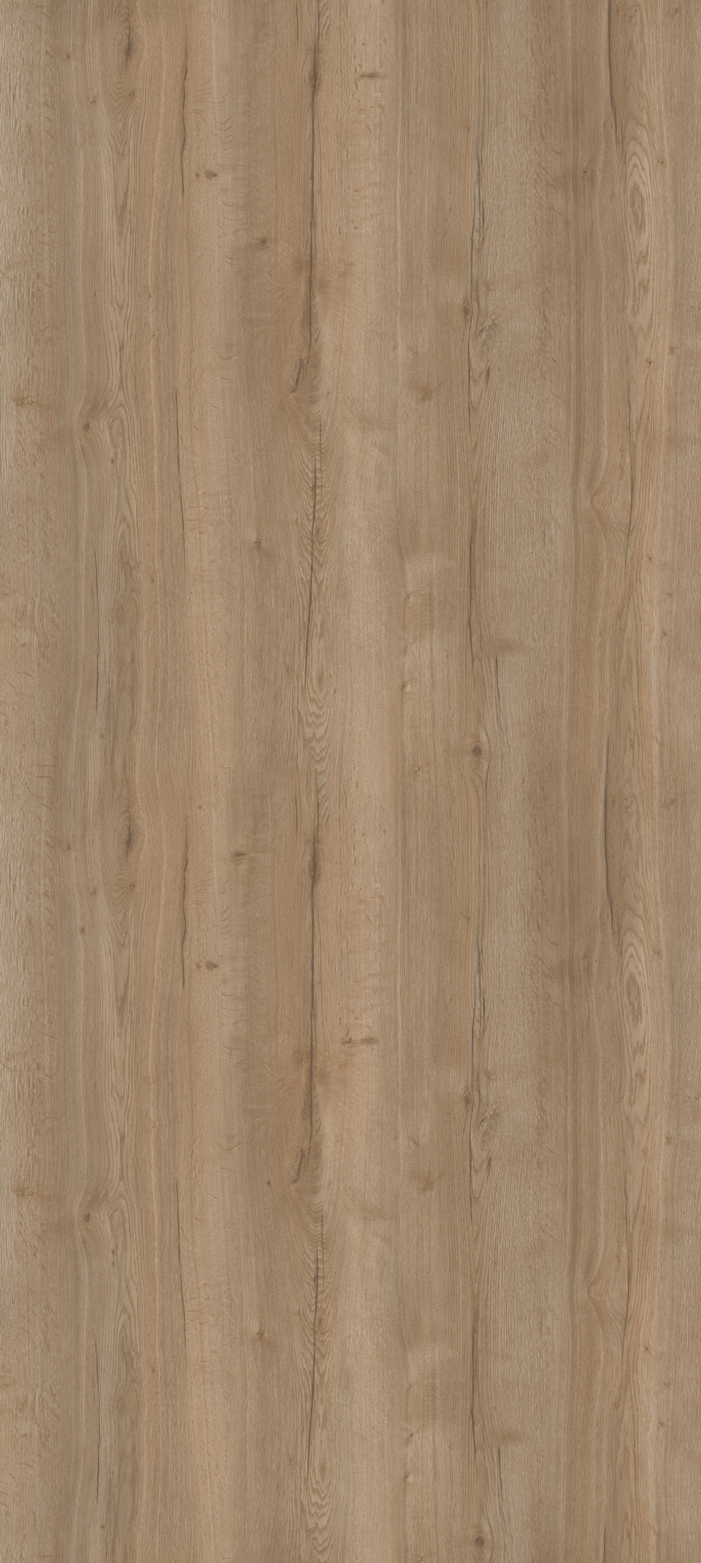 SUSTER OAK