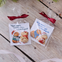 Конфета с открыткой "Новый год с капибарой"